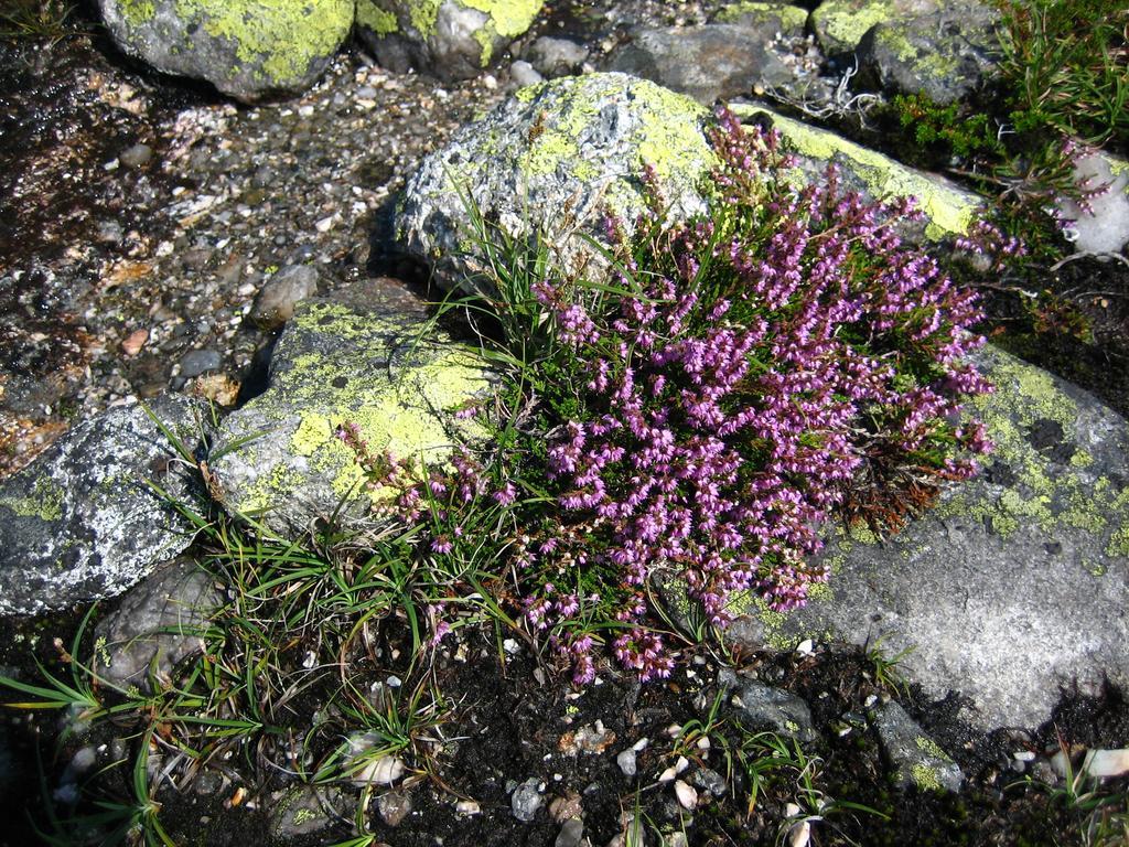 Norefjell - Storhytte Med Jacuzzi Og Fantastisk Beliggenhet Noresund Kültér fotó